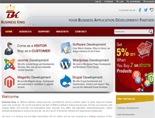 Tablet Screenshot of businessapplicationking.com